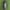 Yamal(gesture) Outdoor Sports Water Bottle Grey 560ml