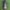 Yamal(pattern) Outdoor Sports Water Bottle Grey 560ml